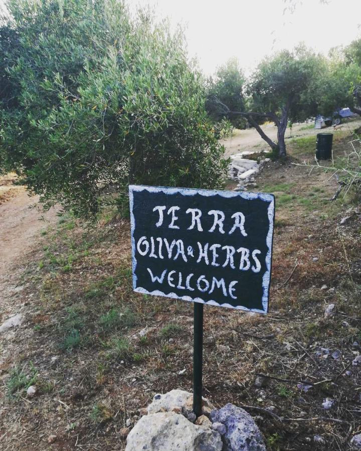 Terraoliva&Herbs Vatos Bagian luar foto