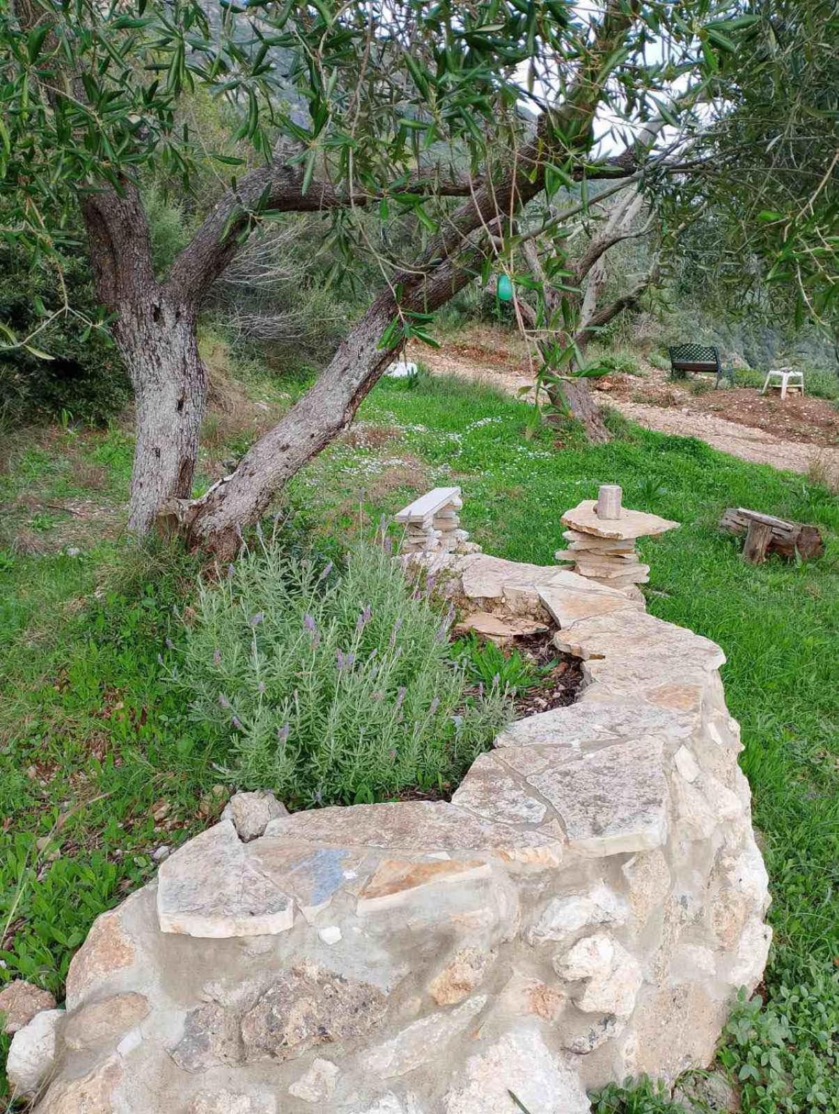 Terraoliva&Herbs Vatos Bagian luar foto