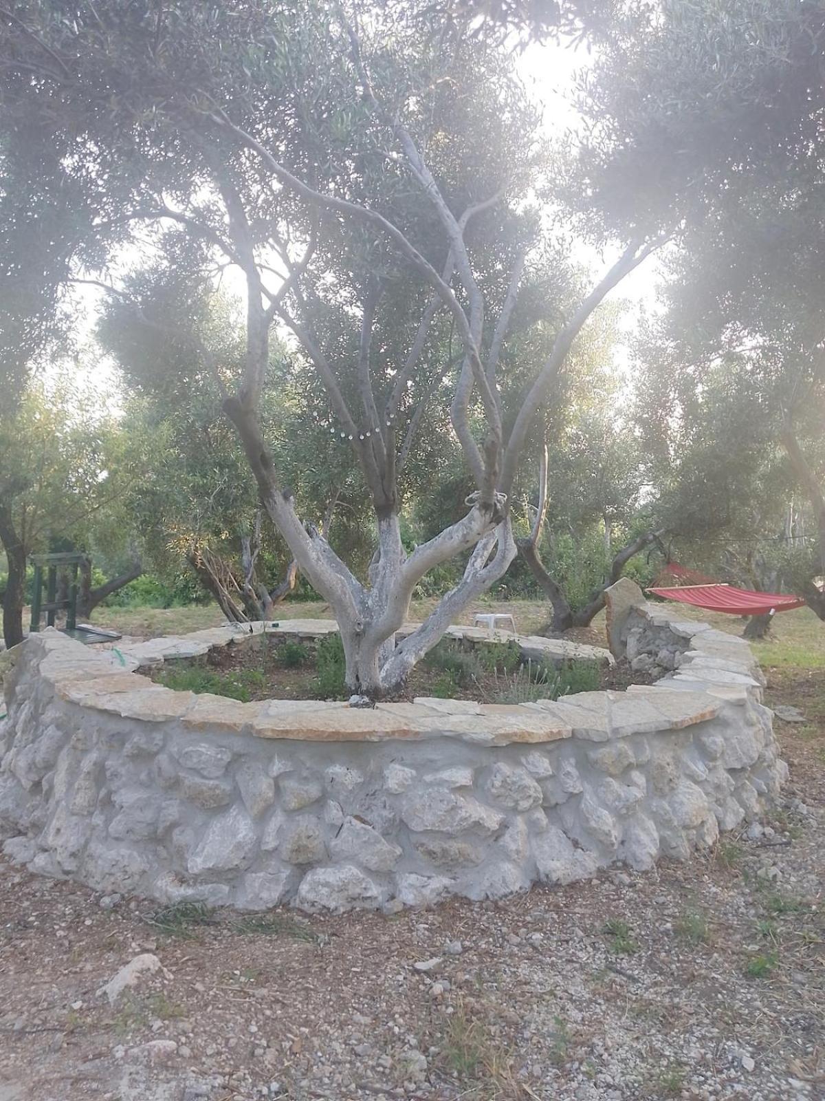 Terraoliva&Herbs Vatos Bagian luar foto