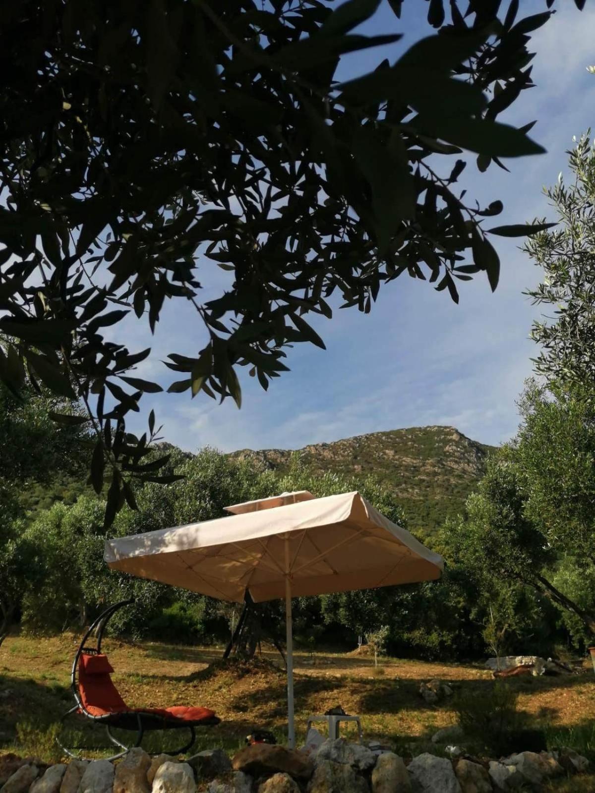 Terraoliva&Herbs Vatos Bagian luar foto