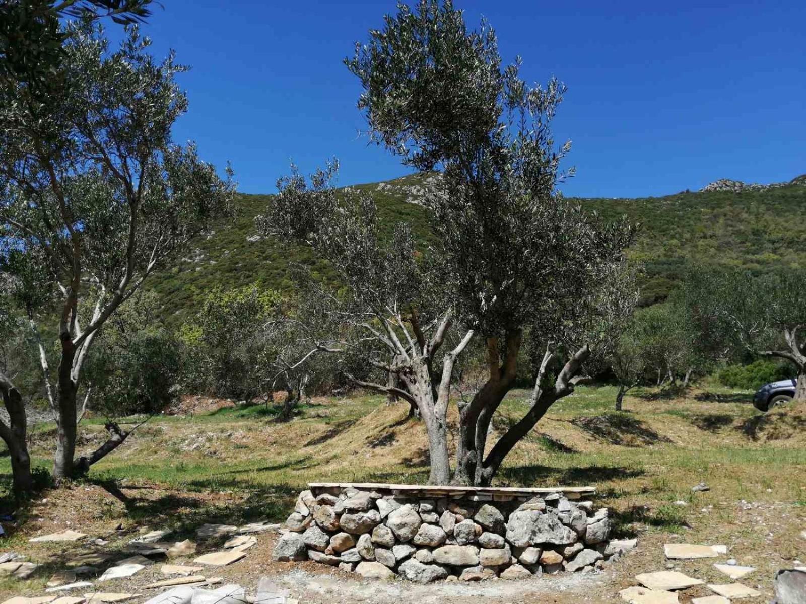 Terraoliva&Herbs Vatos Bagian luar foto